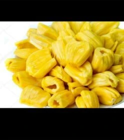 Jackfruit Seedling Plant -Plants Shop Jackfruit 2