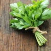 Lovage Seeds -Plants Shop Lovage2