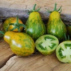 Tomato Mint Julep Seeds