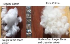 Other Cotton, Pima Or Egyptian, (very Soft Cotton For Spinners) Seeds -Plants Shop Pima Cotton compared to regular cotton grown in Australia