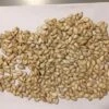 Pumpkin Seeds