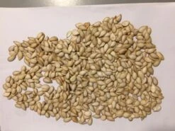 Pumpkin Seeds