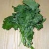 Organic Broccoli Rapini Seeds -Plants Shop Rapini