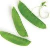 Snow Pea Seeds -Plants Shop SNOW PEA1