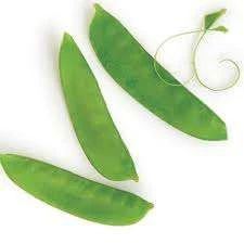 Snow Pea Seeds