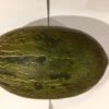 Other Sapo Melon Seeds -Plants Shop Sapo Melon 1