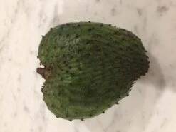 Other Soursop Seeds