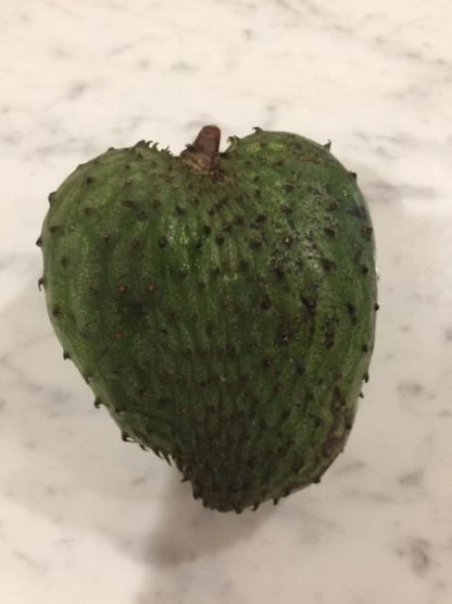 Soursop Seedling Plants For Pots Or Ground 3 Soursop Seedling Plants For Pots Or Ground