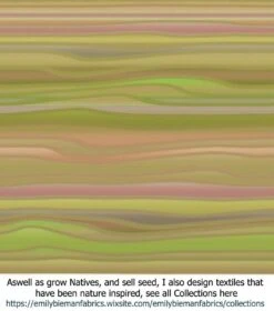 Acacia Subulate – Awl-leaf Wattle Seeds -Plants Shop Stripe Textiles Dream Garden Stripe Waves scaled 1