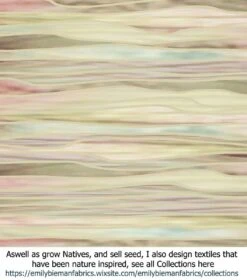 Acacia Acinacea – Gold Dust Wattle Seeds -Plants Shop Stripe Textiles Nouveau Stripes 2020 Gradient Pascals 107hy scaled 1