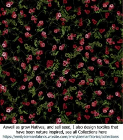 Eucalyptus Ficifolia X Calophylla (Corymbia Ficifolia X Calophylla) Seeds -Plants Shop Textiles Pandorea jasminoides Clusters plasticwrap 0002019