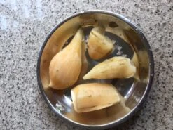 Yacon Seedling Plants -Plants Shop Yakon flesh