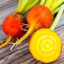 Beetroot Golden Detroit Seeds -Plants Shop beetgolden2