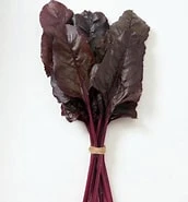 Beetroot Red Devil Seeds -Plants Shop beetrootreddevil2