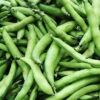 Broad Bean Coles Dwarf Seeds 2 Broad Bean Coles Dwarf Seeds -Plants Shop broadbean3