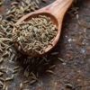 Cumin Seeds -Plants Shop cumin2