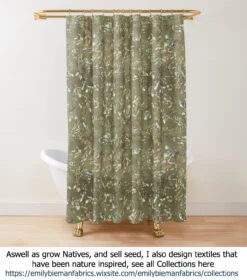 Hakea Grammatophylla – MacDonnell Ranges Hakea Seeds -Plants Shop hakea Textiles Hakea petiolaris cluster on beige cloud shower curtain