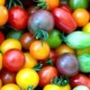 Mixed Heirloom Tomato Seeds -Plants Shop mixedtoms1