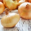 Onion Yellow Spanish Early Seeds