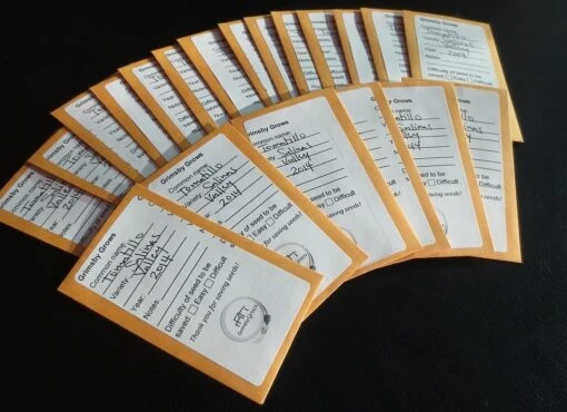 Organic Beetroot Early Wonder Seeds -Plants Shop placeholder