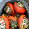 Turks Turban Squash Seeds